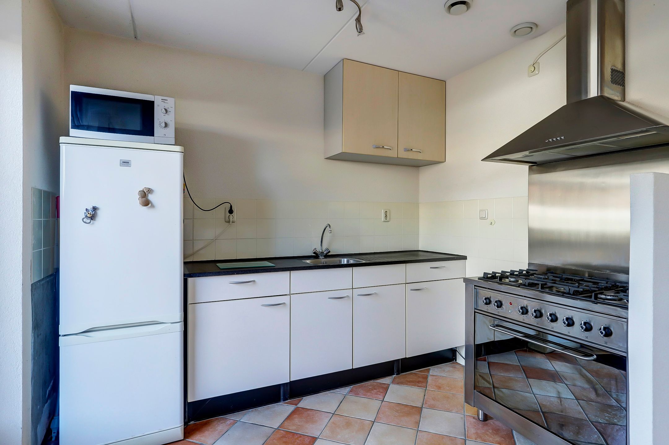 Foto 9 van het Zwin 12