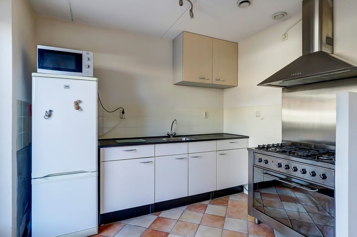 Foto 9 van het Zwin 12