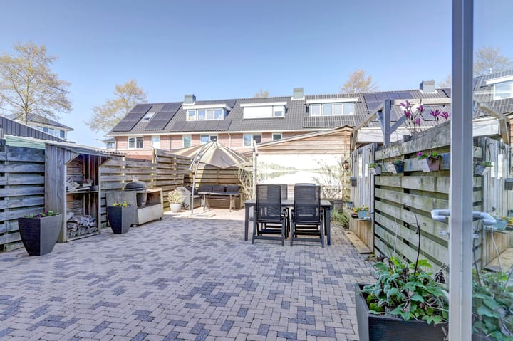 Foto 10 van het Zwin 12