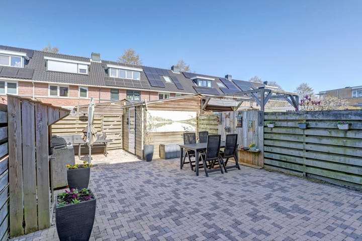 Foto 12 van het Zwin 12