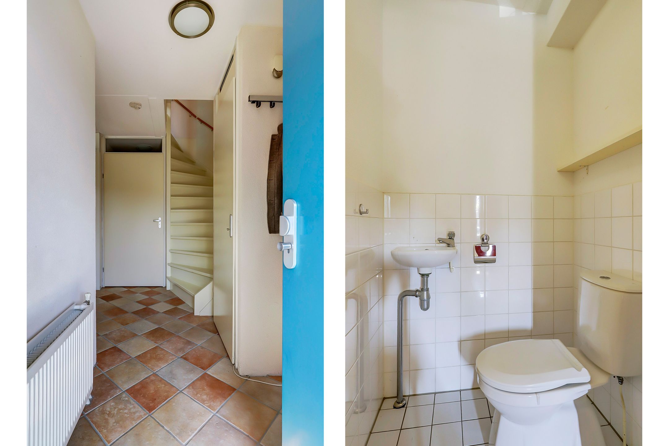 Foto 15 van het Zwin 12