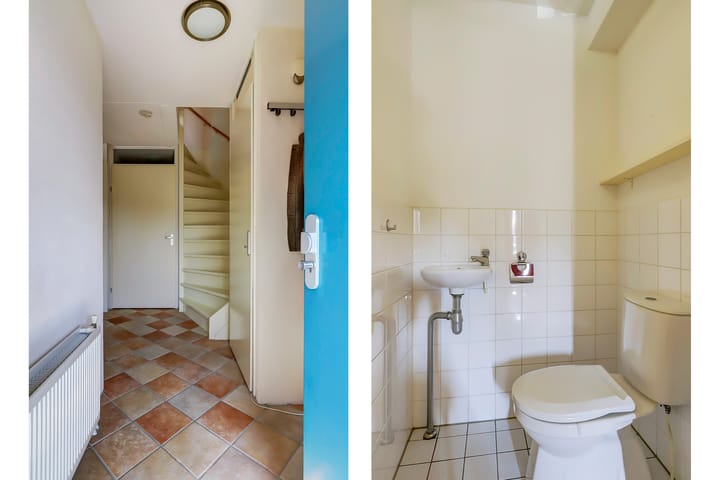 Foto 15 van het Zwin 12