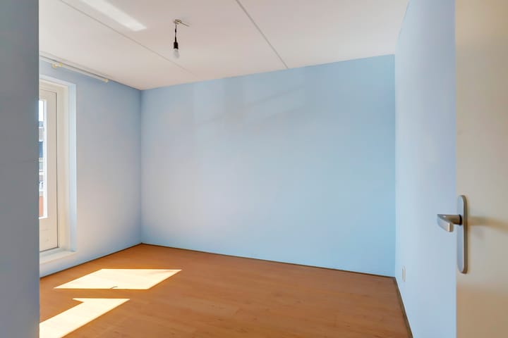 Foto 16 van het Zwin 12