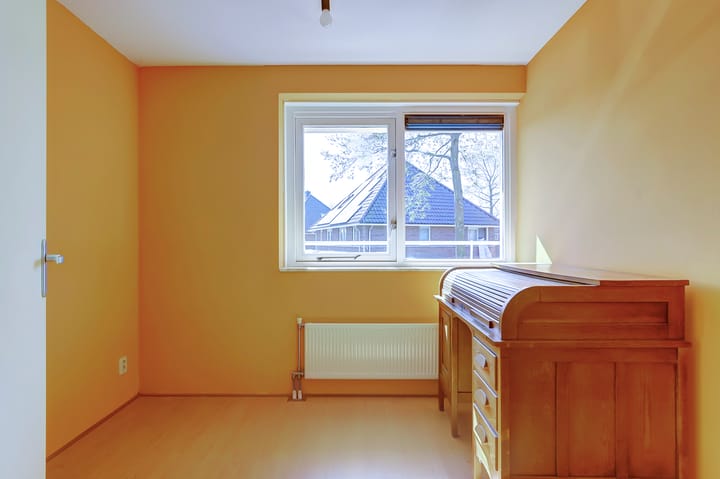 Foto 19 van het Zwin 12