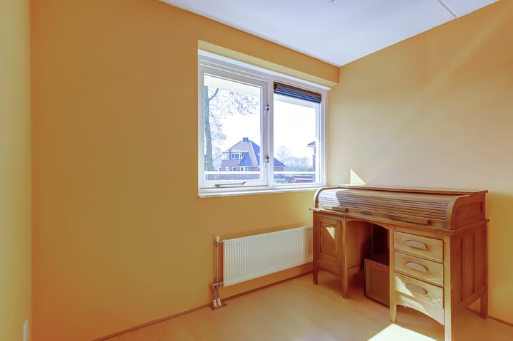 Foto 20 van het Zwin 12