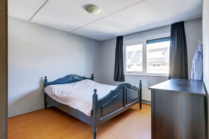 Foto 21 van het Zwin 12