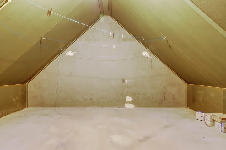 Foto 27 van het Zwin 12