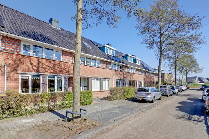 Foto 29 van het Zwin 12