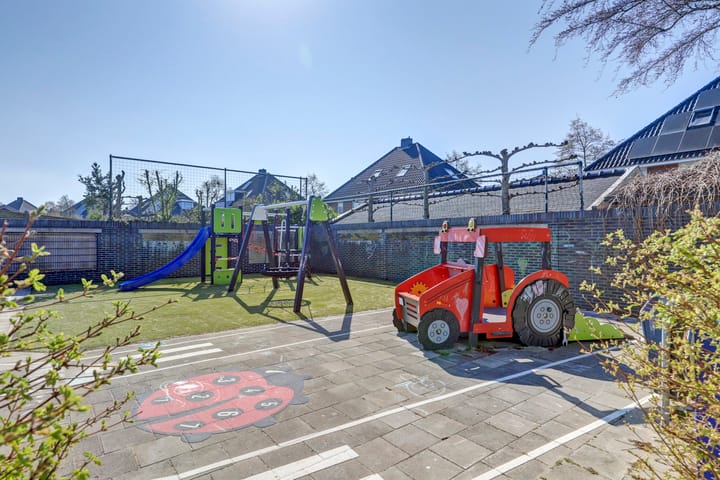 Foto 30 van het Zwin 12