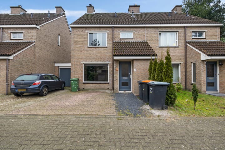 Foto 2 van Bonte Kraai 16