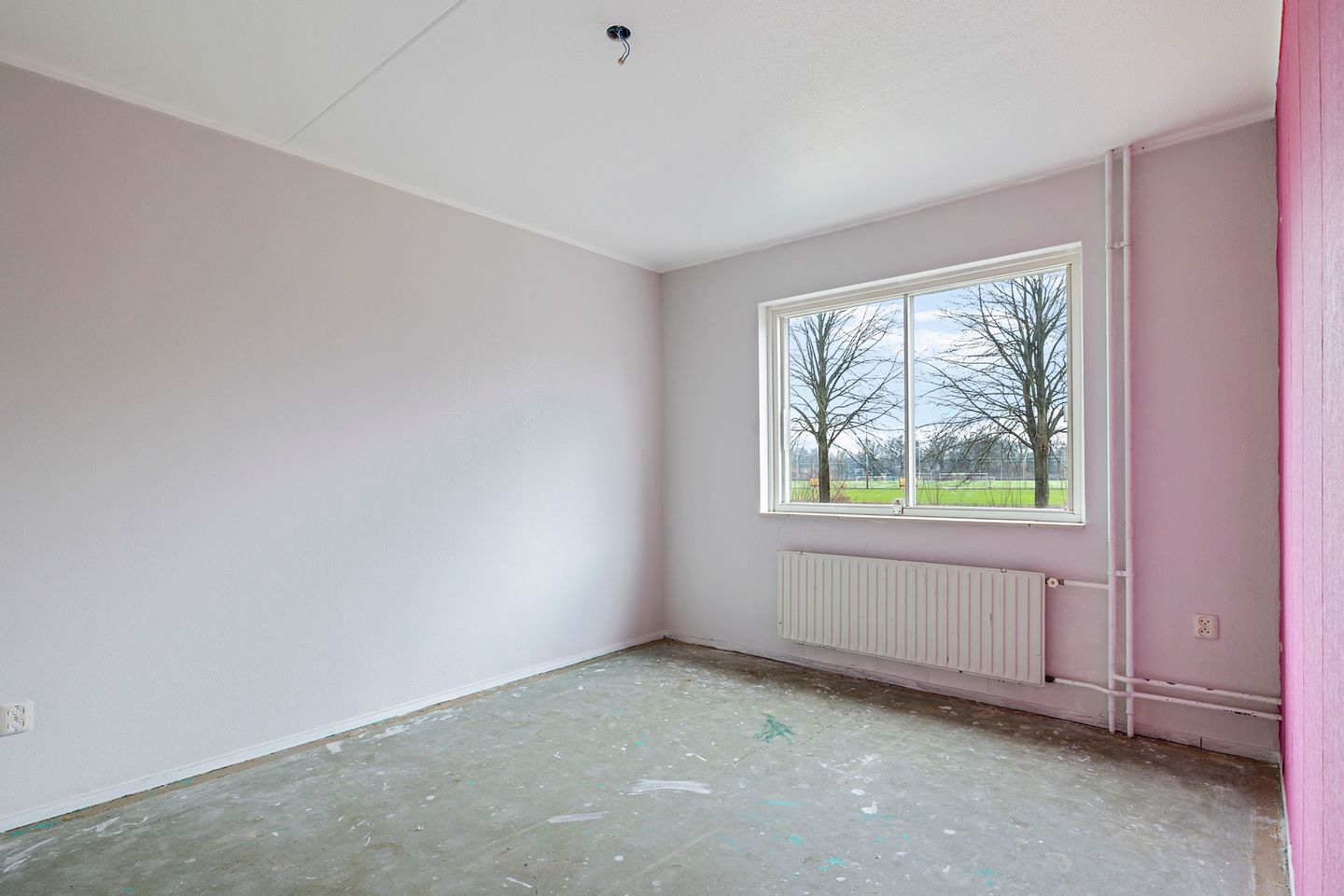 Foto 25 van Bonte Kraai 16