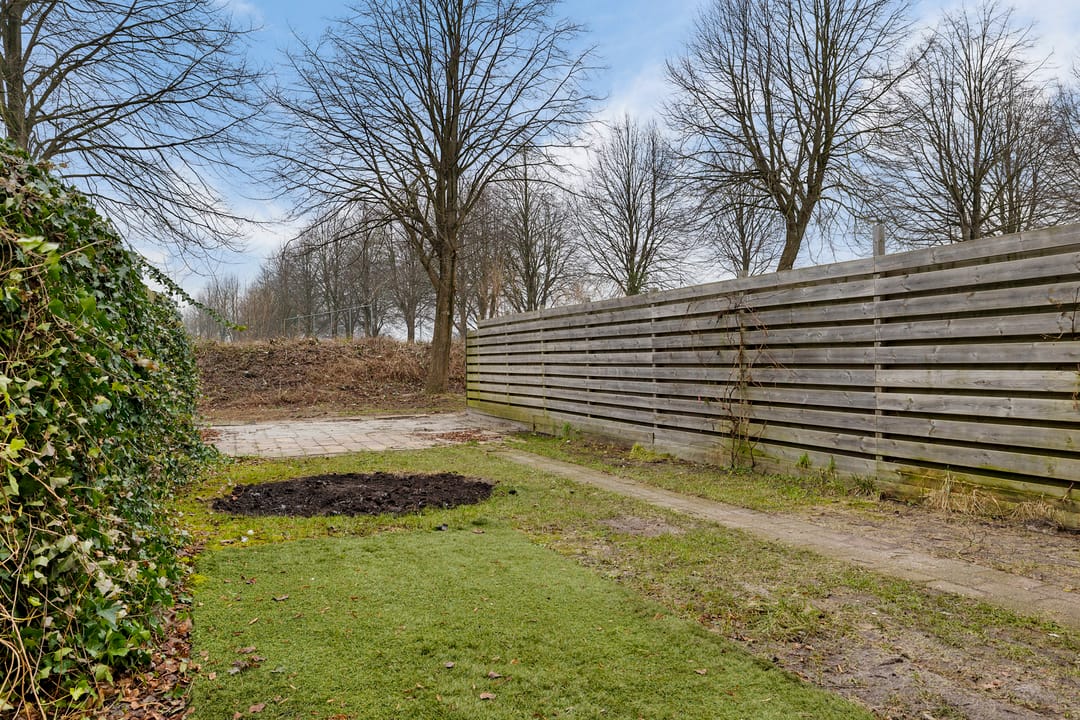 Foto 31 van Bonte Kraai 16