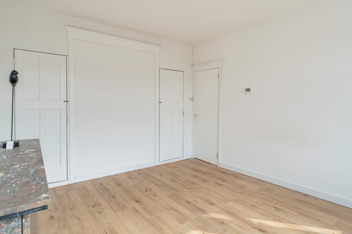 Foto 25 van Willem Buytewechstraat 173-A03