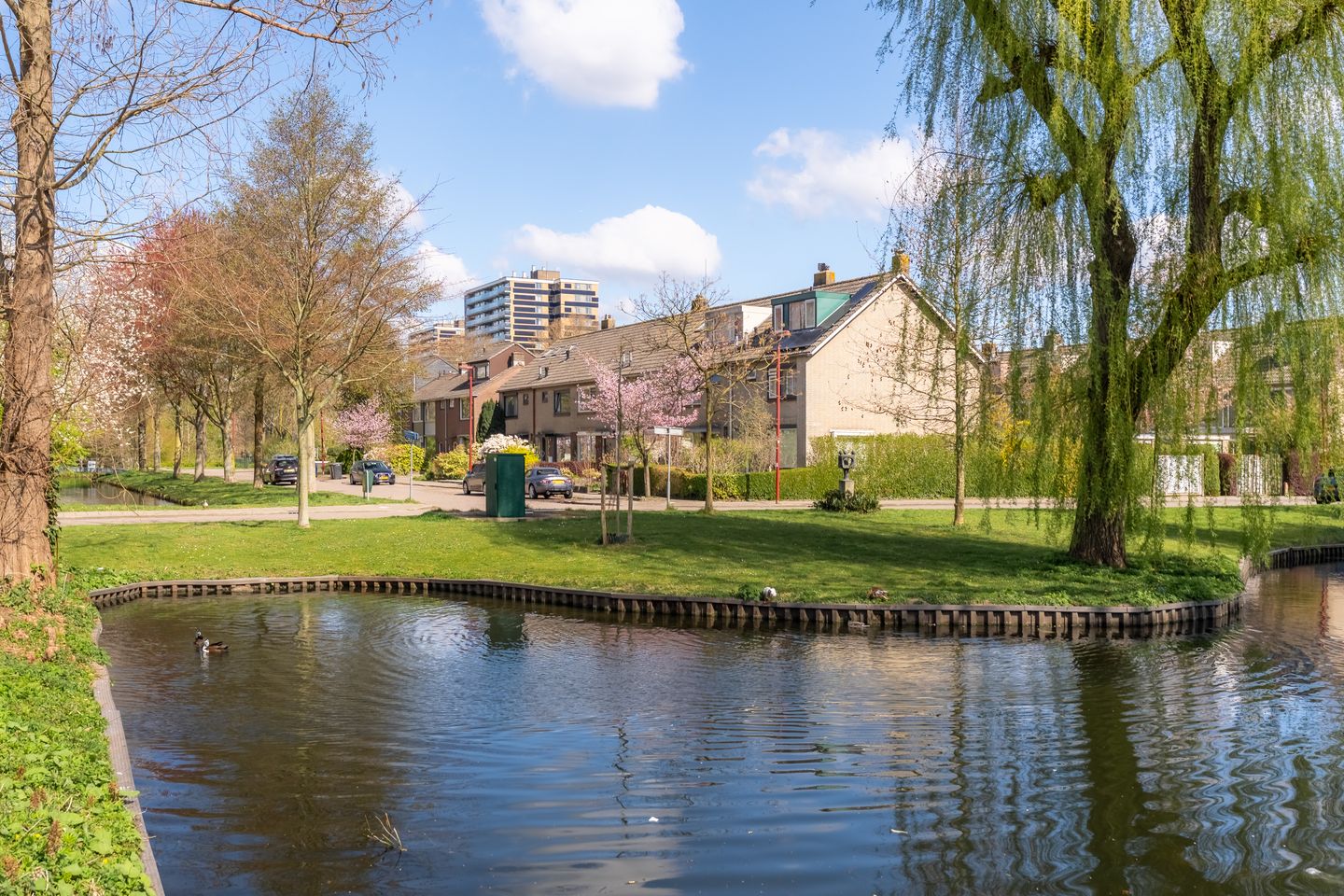 Foto 1 van Raedeckerplantsoen 17