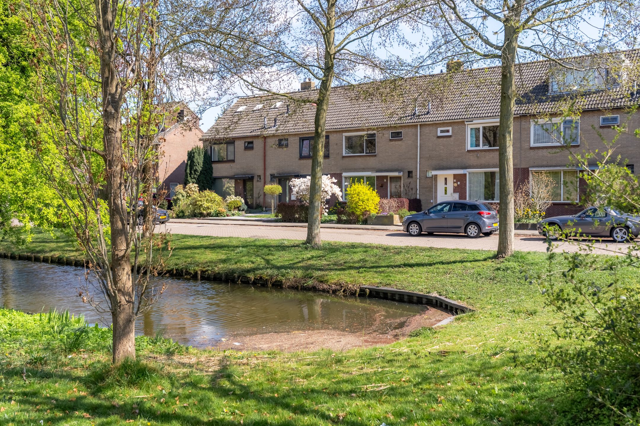 Foto 6 van Raedeckerplantsoen 17