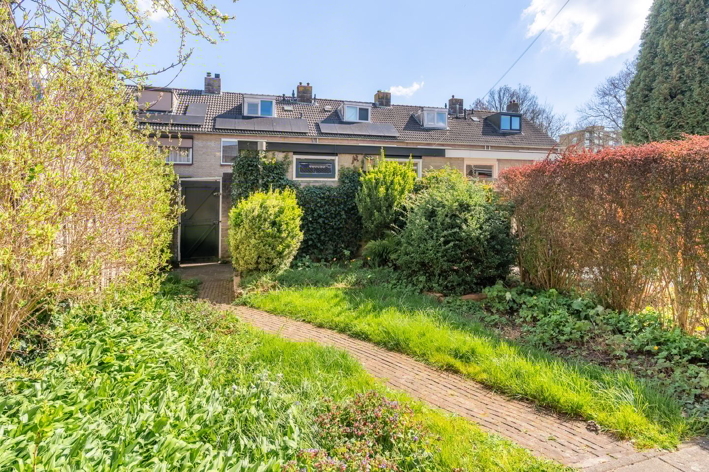 Foto 20 van Raedeckerplantsoen 17