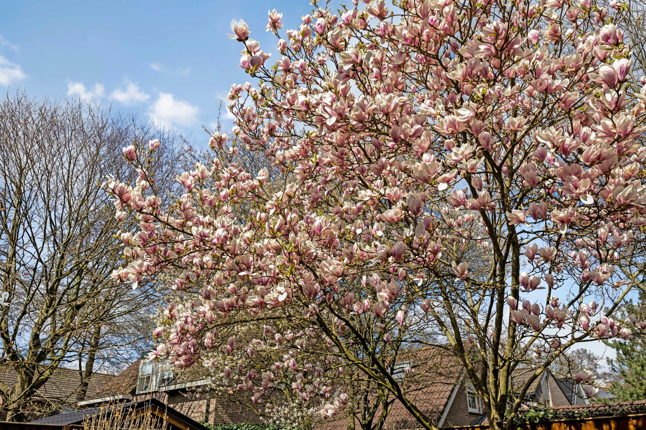 Foto 45 van Wouwerbroek 33