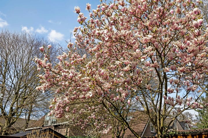 Foto 45 van Wouwerbroek 33