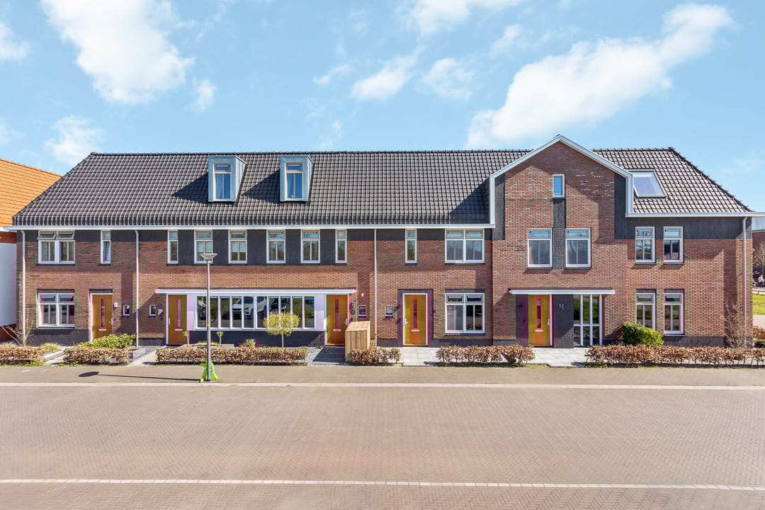 Foto 17 van Avondroodvlinder 8