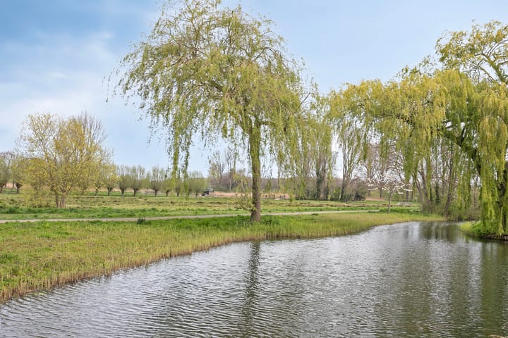 Photo 36 of Beukmolen 176