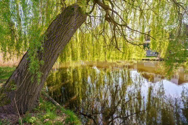 Foto 34 van Overgouw 118