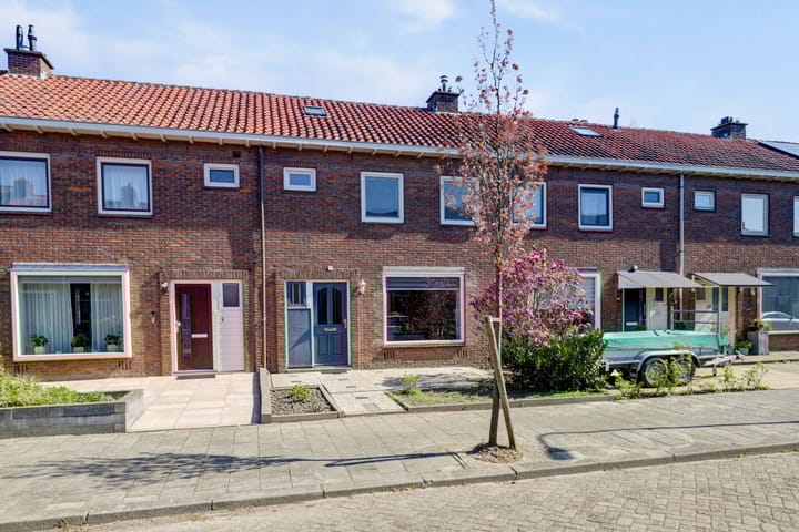 undefined main image
