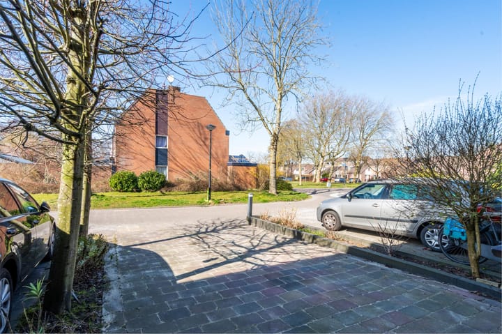 Foto 4 van Zirkoon 14