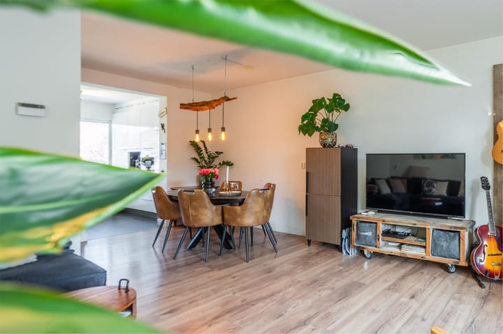 Foto 10 van Zirkoon 14