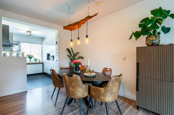 Foto 14 van Zirkoon 14