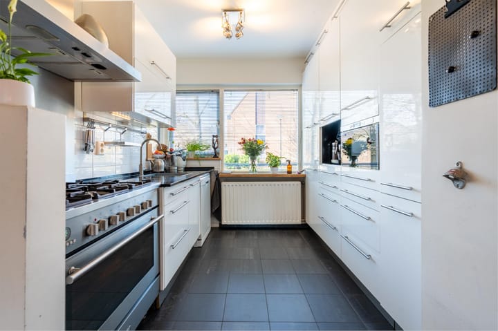 Foto 15 van Zirkoon 14