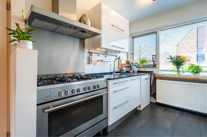 Foto 16 van Zirkoon 14