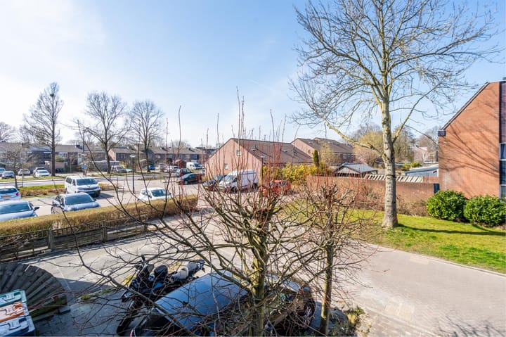 Foto 42 van Zirkoon 14