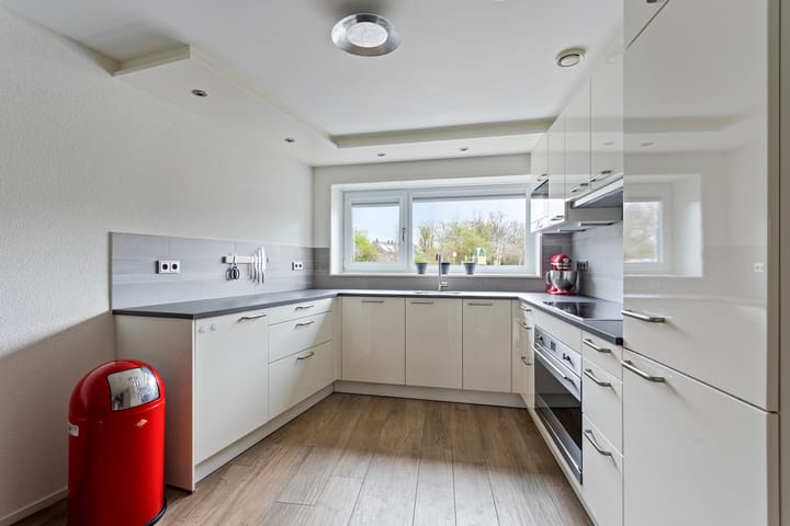 Foto 11 van Rosa Spierplantsoen 37