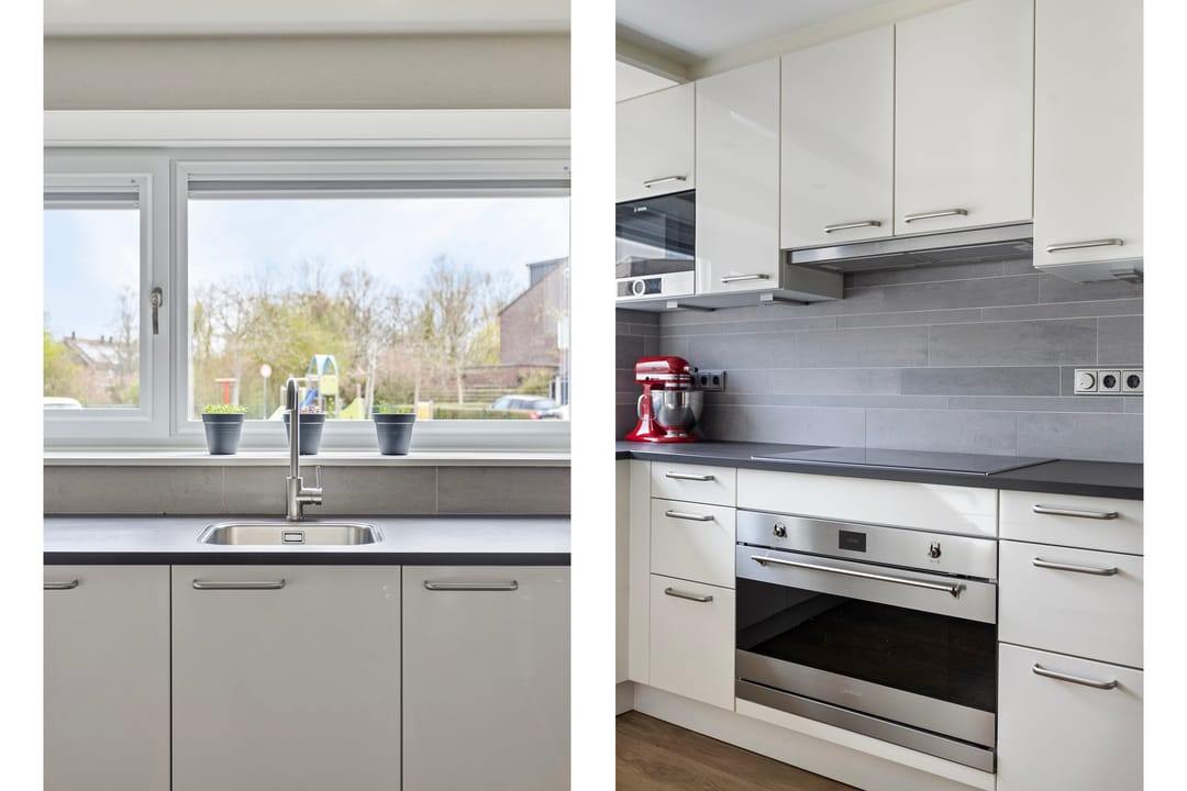 Foto 13 van Rosa Spierplantsoen 37