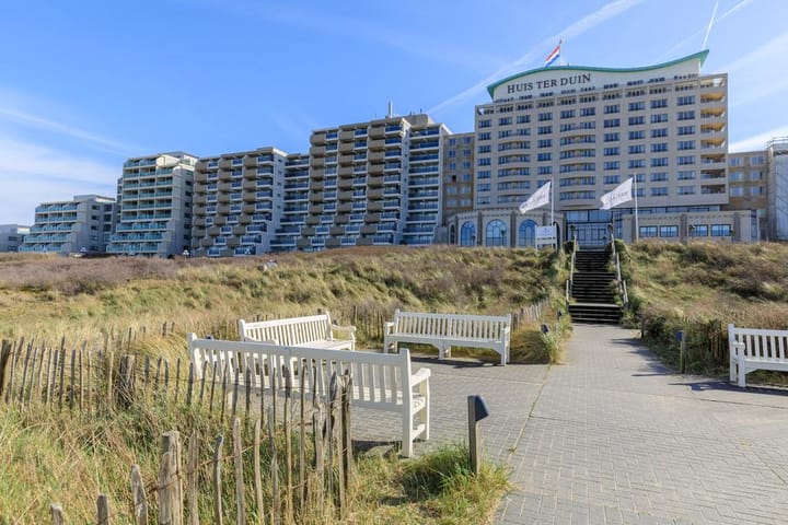 Foto 3 van Duinroos 33