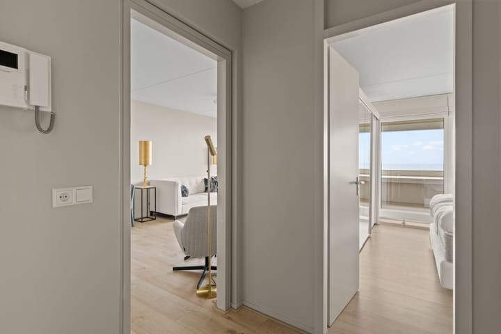 Foto 4 van Duinroos 33