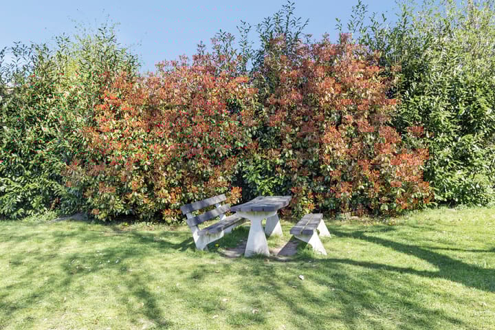 Photo 26 of Irenestraat 23