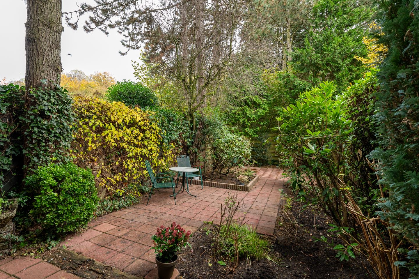 Photo 4 of Patrijslaan 123