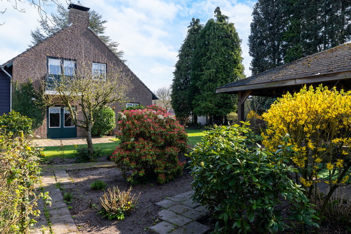 Foto 49 van Veld 14