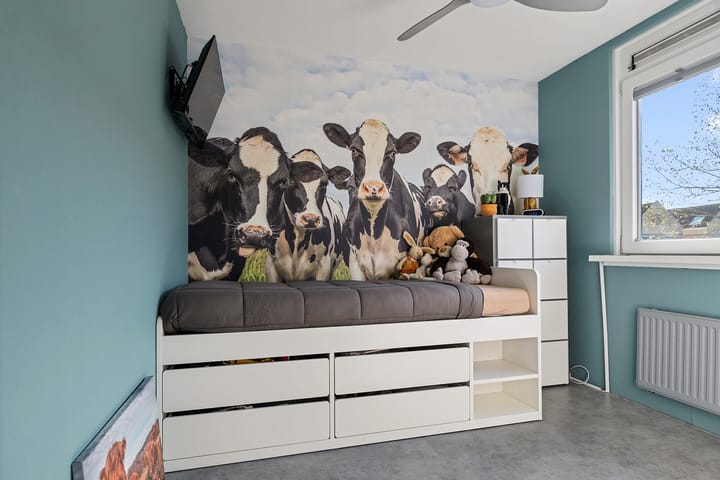 Foto 22 van Hendrik Andriessenstraat 28