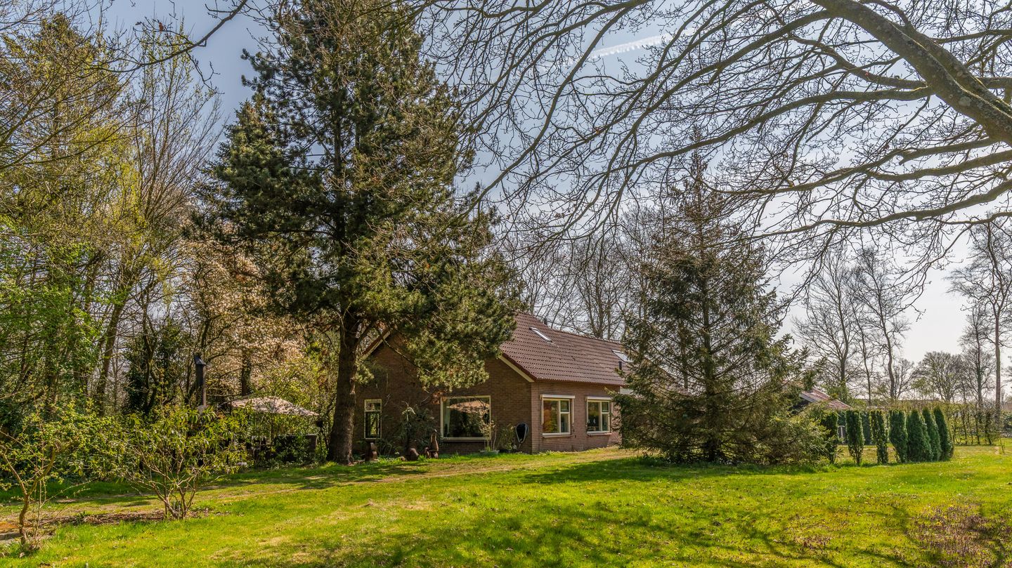 Foto 40 van Leeuwte 8