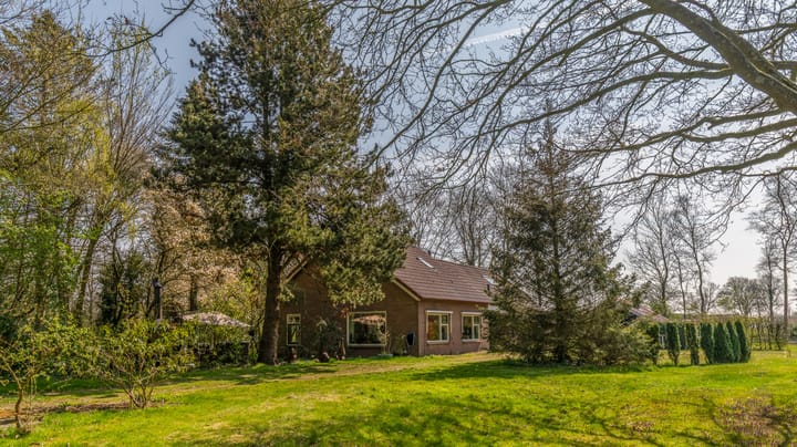 Photo 40 of Leeuwte 8