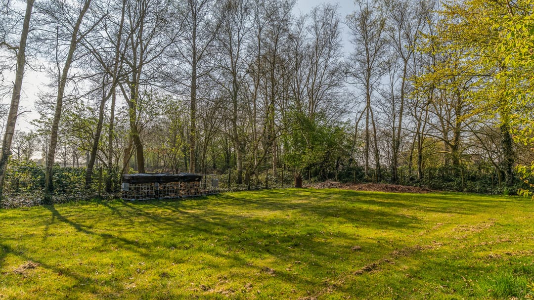 Foto 41 van Leeuwte 8