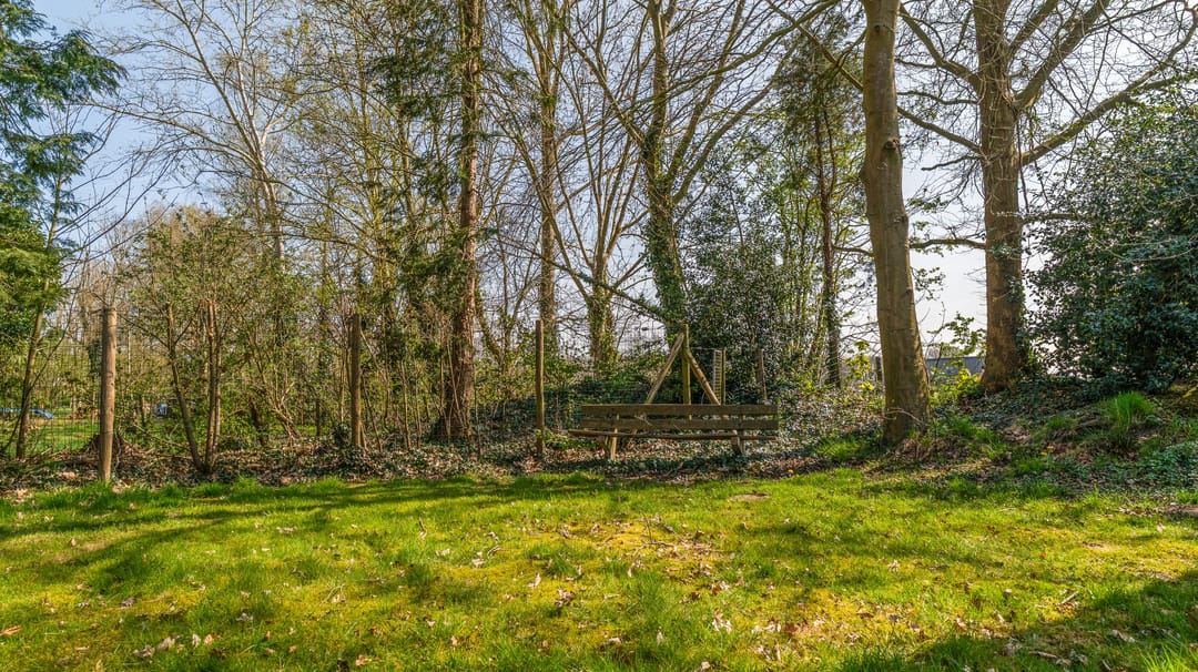 Foto 46 van Leeuwte 8