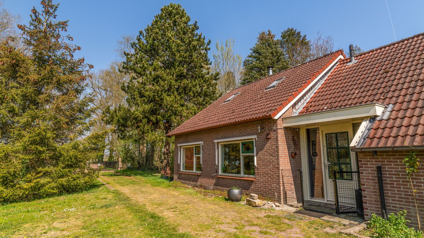 Foto 50 van Leeuwte 8