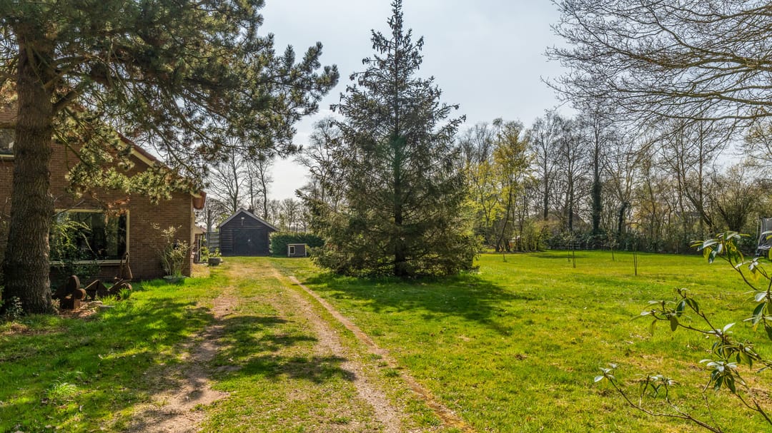 Foto 53 van Leeuwte 8