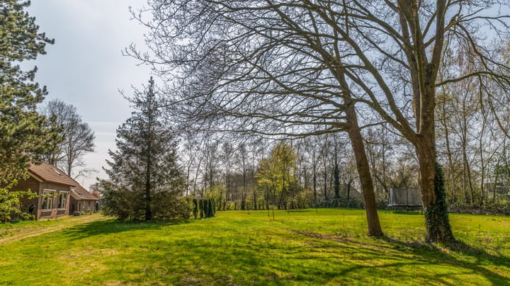 Photo 55 of Leeuwte 8