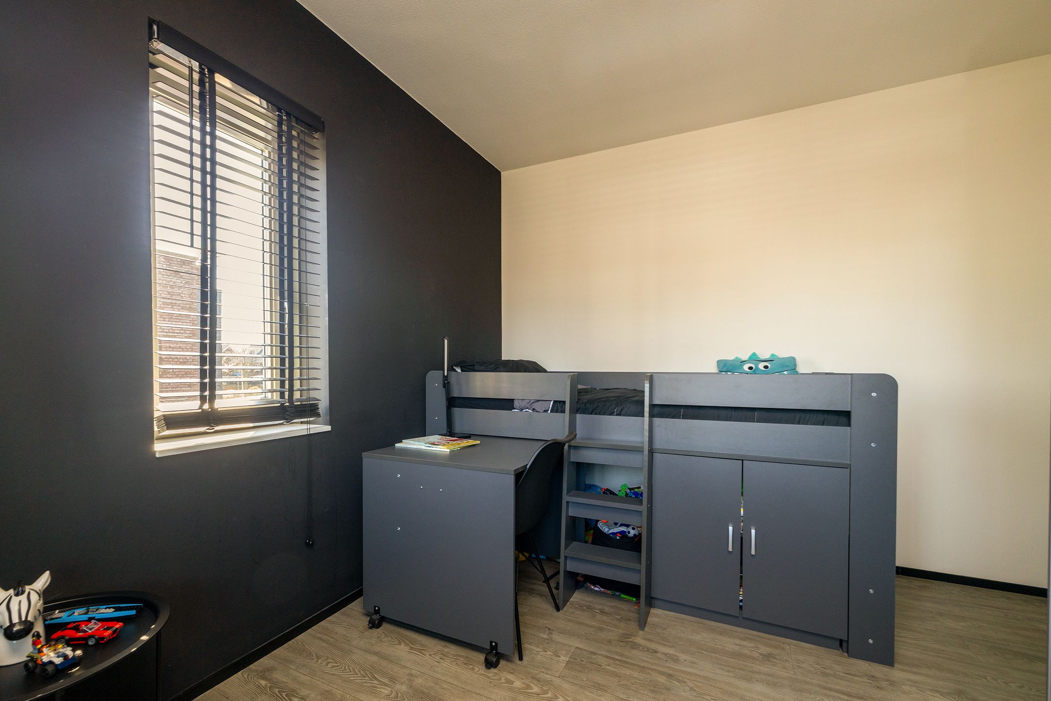 Foto 27 van Platostraat 13