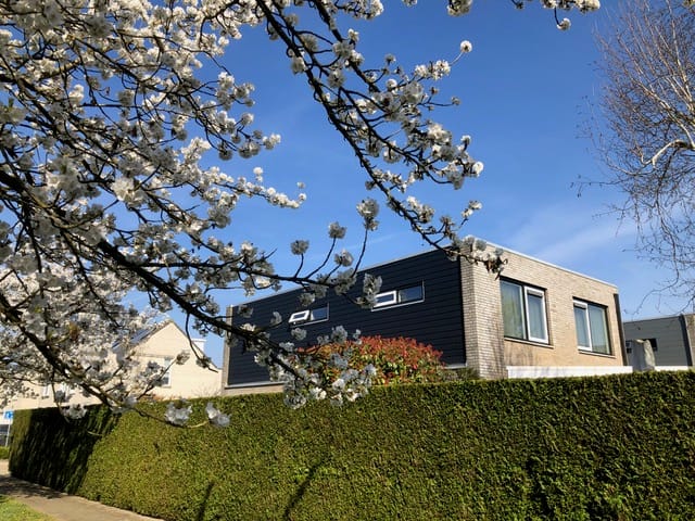 Foto 46 van Framboos 43