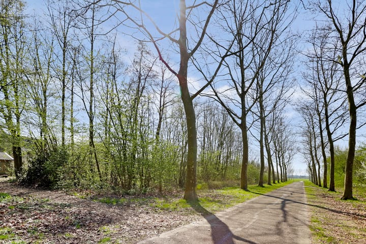 Photo 69 of Kalootstraat 6